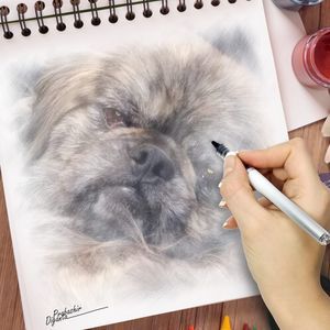 Meet your Posher, Joella